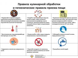 Рекомендации Федеральной службы по надзору в сфере защиты прав потребителей и благополучия человека. "Правила кулинарной обработки и гигиенические правила приёма пищи"